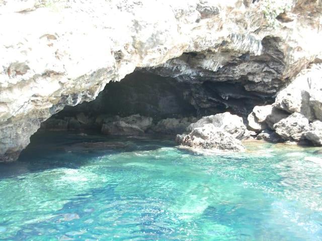 Appartamento Al Centro Di Ustica Isola di Ustica エクステリア 写真